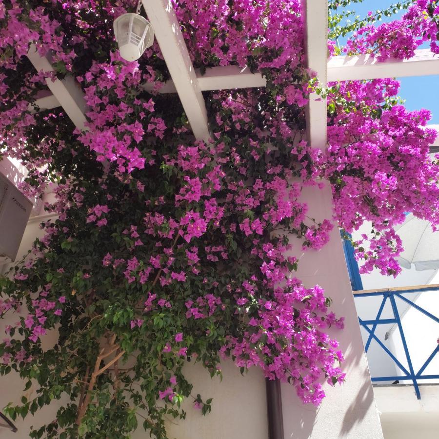 אברסה B&B Sognando Vietri E Spa Esclusiva מראה חיצוני תמונה